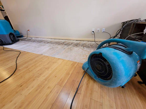 Professional Water Extraction technician working in Chelmsford, MA